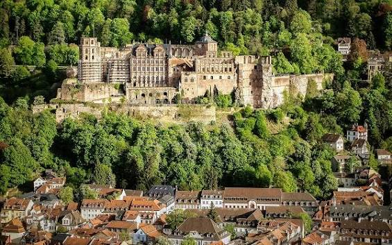 Heidelberg Castle rising above the old town rooftops and forested hillside