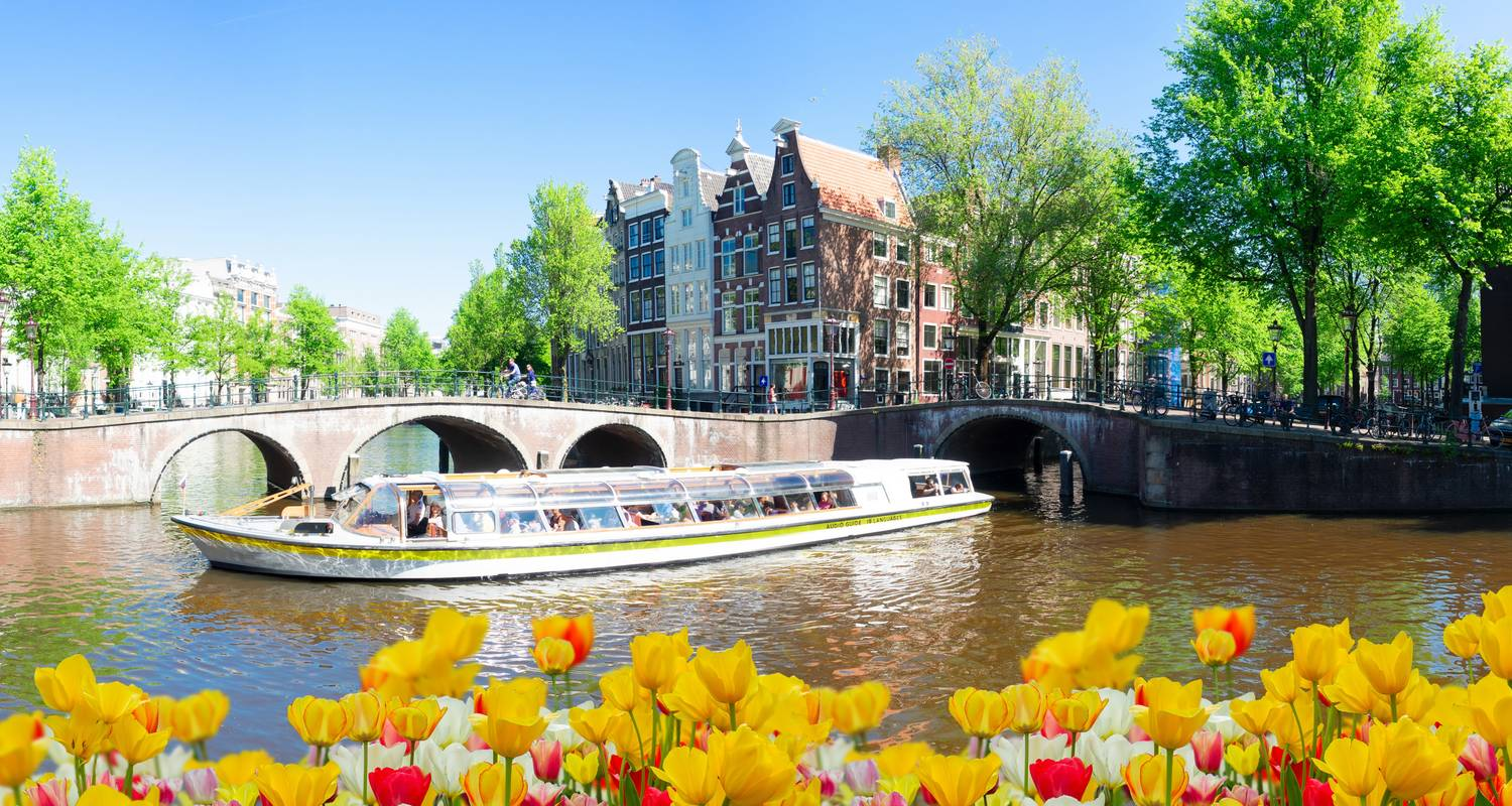Glass topped canal boat gliding under a bridge in Amsterdam with tulips in the foreground