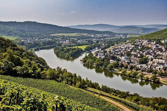 Vineyard hills above a river bend and a wine village on the Rhine